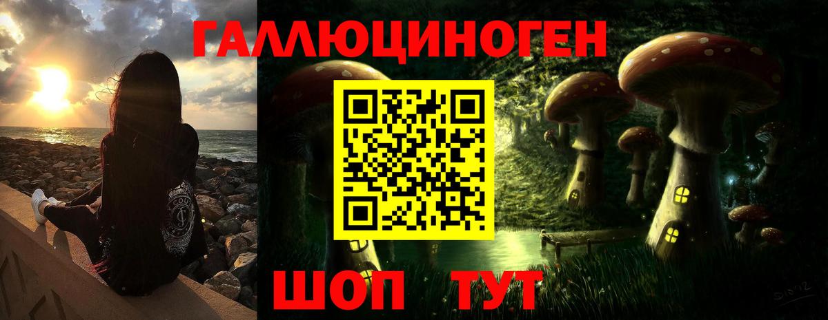 Орехово-Зуево  Псилоцибиновые грибы мицелий  Вход с VPN  Галлюциногенные грибы GOLDEN TEACHER 